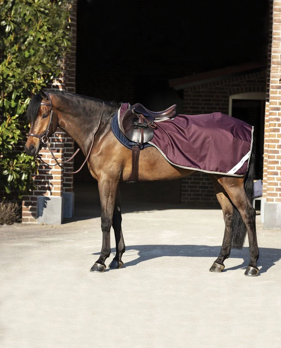 Amigo Ripstop Competition Sheet - Fig/Navy/Tan