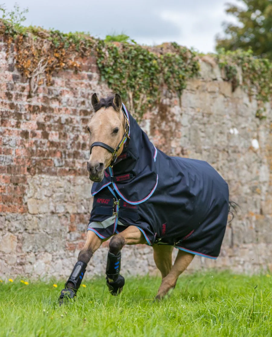 Amigo Bravo Lite Plus i pony-model