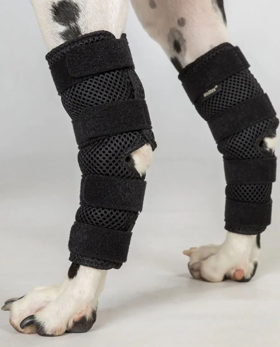 Back on Track Dixie Hasebandage