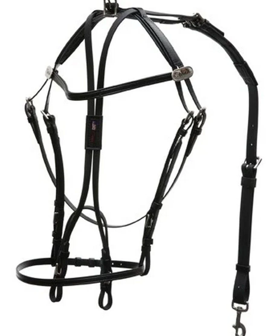 International Open Bridle - 1542