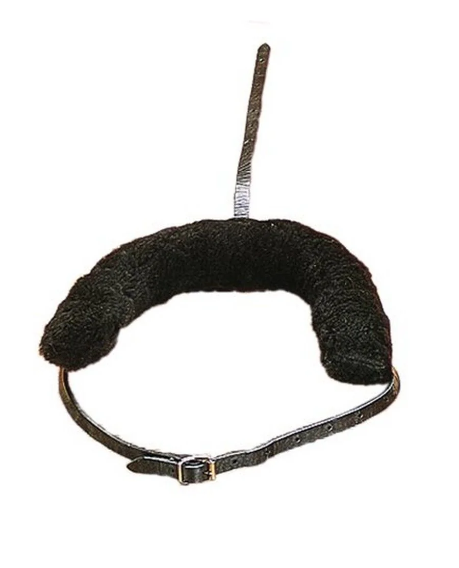 Jordblænder Wahlsten