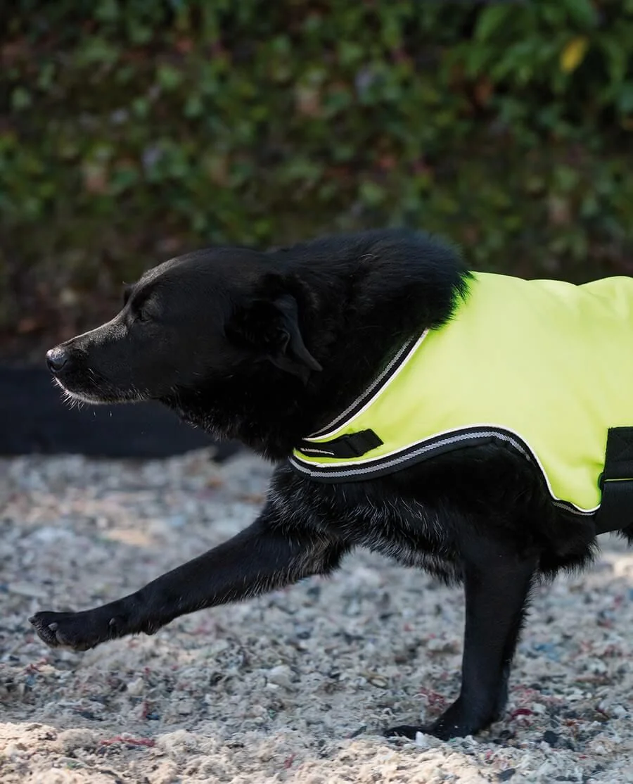 Refleksdækken fra Rambo