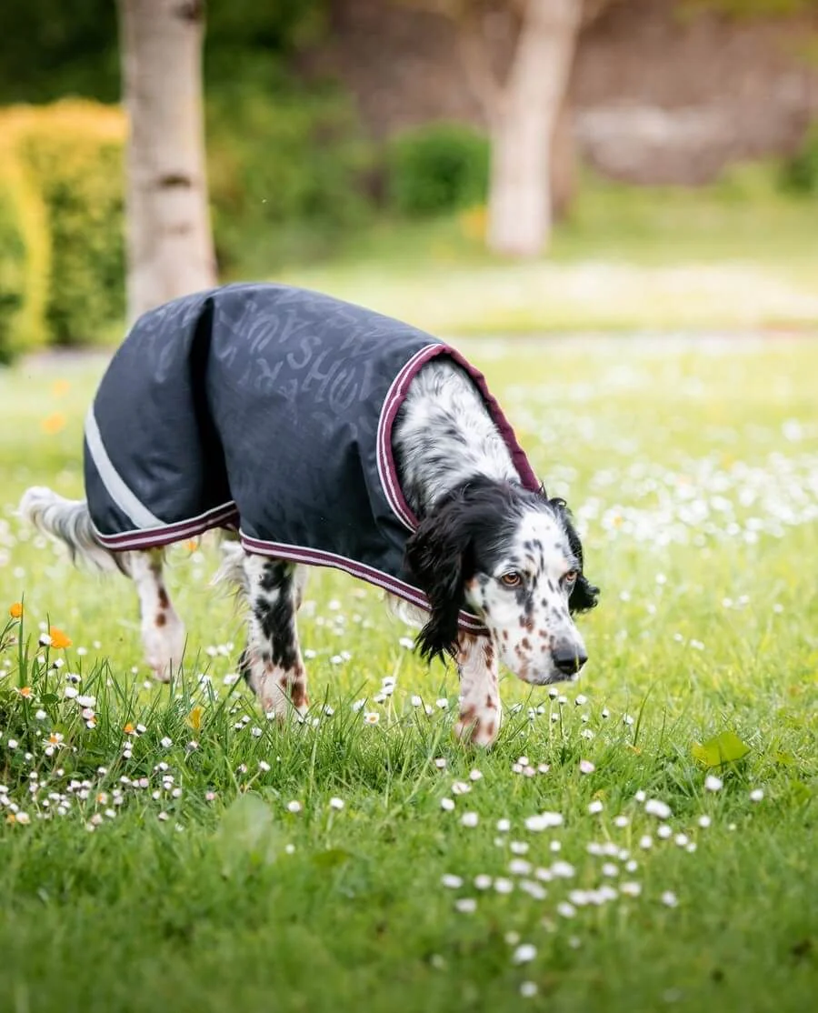 Amigo Dog Rug Ripstop fra Horseware