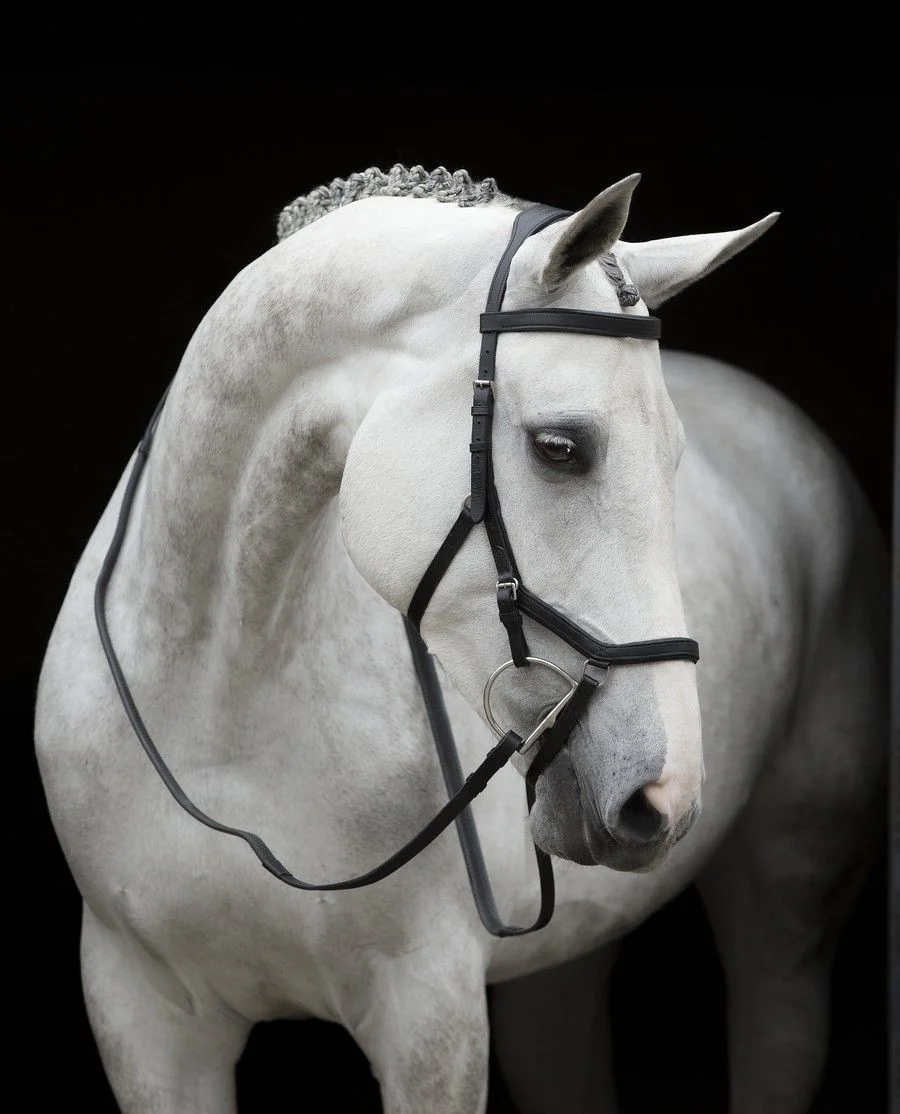 Tøjler til Rambo Micklem Competition - Black