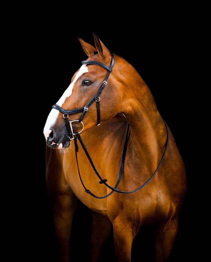 Micklem Competition II Deluxe Trense med tøjler fra Horseware