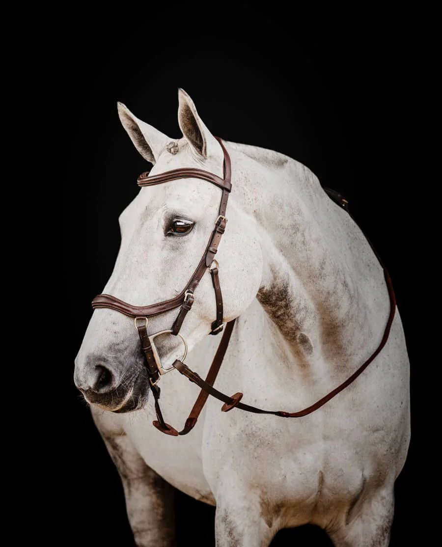 Micklem Competition II Trense fra Horseware