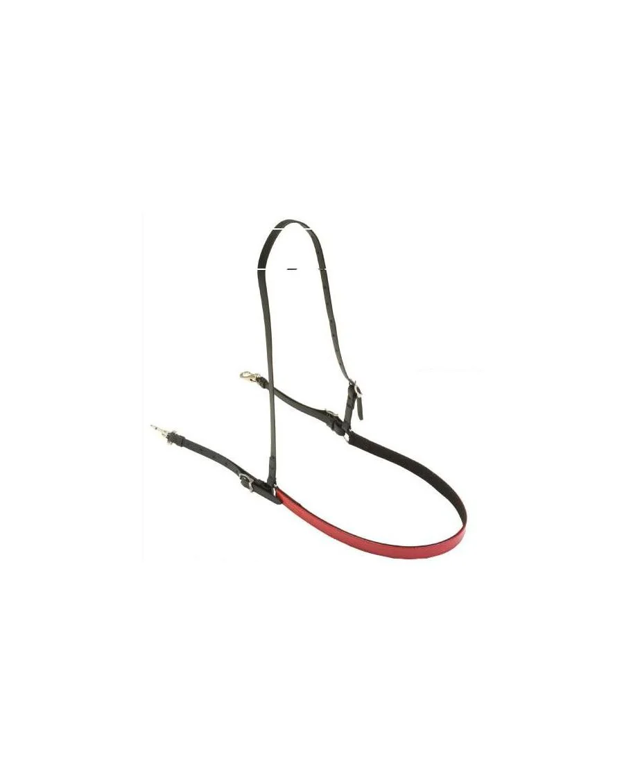 Wahlsten Bringestykke