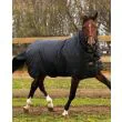 Trot Plus Heavy/350G (travheste) fra Horseware