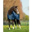 Horseware Liner 100g