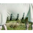 Rambo Hoody XL fra Horseware - Green/Sage, Beige and Green