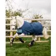 Amigo Hero 900 Pony Medium/200g fra Horseware - Dark Blue/Capri with Raspberry