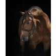 Rambo Micklem Headcollar - Brown