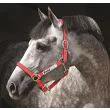 Rambo Field Safe headcollar - Red