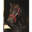 Rambo Field Safe headcollar - Red