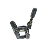 Kentucky grimer og træktov