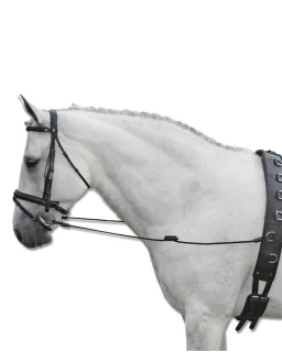 Side Reins Fully Elastic sort