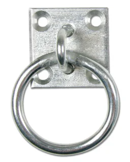 Waldhausen Ring på vægplade