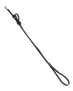 Wahlsten Premium Springrem Biothane