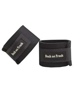 Kodeleds Bånd fra Back om Track