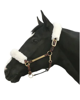 grimeovertræk fra Back on Track