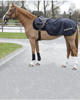 Nyredækken fra Back on track
