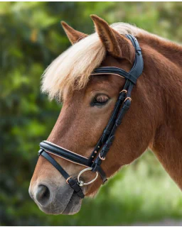 Waldhausen trense til islænder Rose