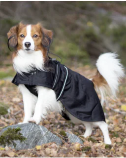 Netdækken til hunde fra Back on Track
