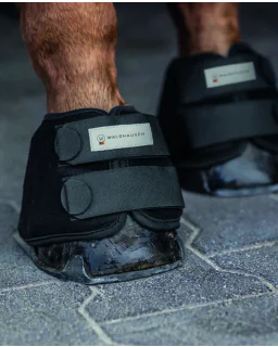 Waldhausen Health + Care køle klokker