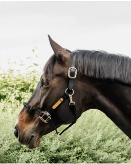 Control Grime Nylon fra Kentucky Horsewear