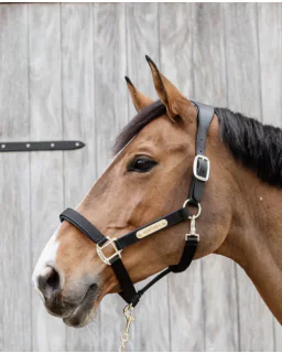 Nylon Anatomisk Grime fra Kentucky Horsewear