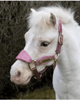 Kentucky Horsewear Velvet Grime Unicorn Glitter