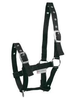 Waldhausen Triple følgrime