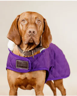 Hundedækken Original fra Kentucky