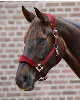 Waldhausen Premium Grime Bordeaux