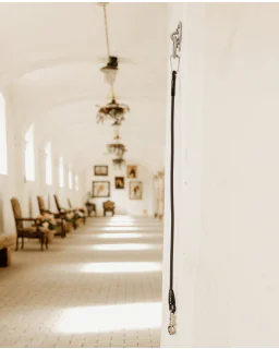 Gummistrop til Opbinding fra Kentucky Horsewear