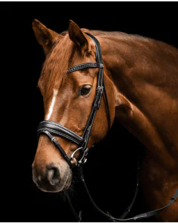 Waldhausen S-Line Trense Glamour