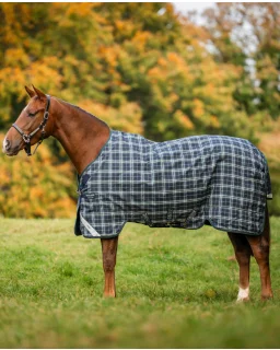 Hunter Check/Navy and Green
