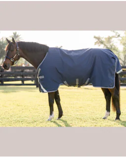 Navy/Titanium Grey and Classic Blue