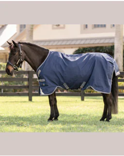 Navy/Titanium Grey and Classic Blue