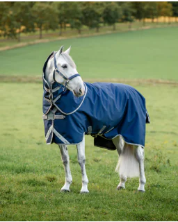  Navy/Titanium Grey and Silver