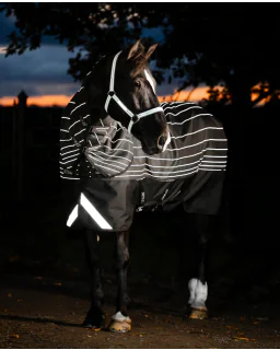 Black/Reflective and Black