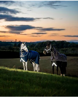 Black/Reflective and Black