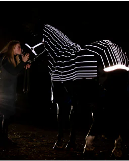  Black/Reflective and Black