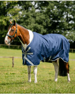 Navy/Titanium Grey and Silver