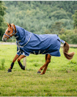 Navy/Titanium Grey and Silver