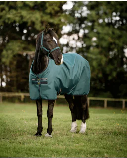 Dynasty Green/Navy and Silver