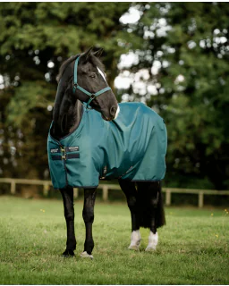 Dynasty Green/Navy and Silver