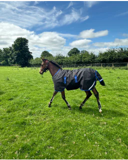 Horseware Amigo Ripstop 900D Foal Turnout 200G