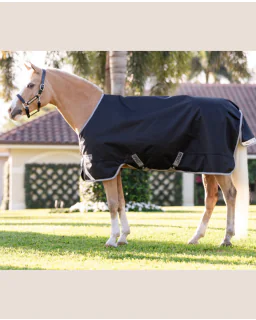 Black/Titanium Grey and Silver