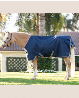 Navy/Titanium Grey and Silver